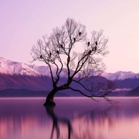 PU Castle stone antique light green brick cultural background wall